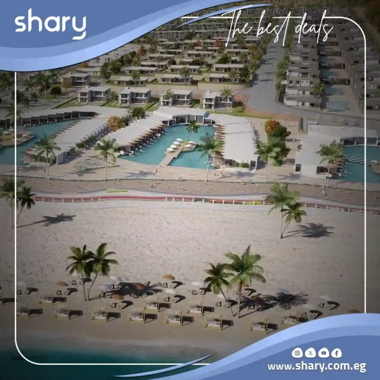 دايركشن وايت الساحل الشمالي