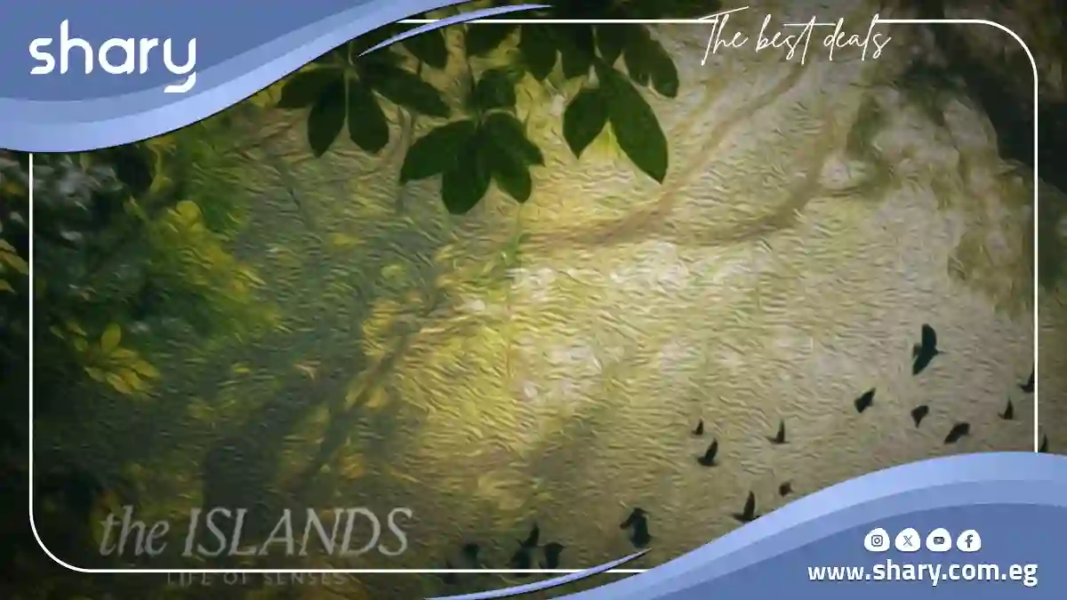 ذا ايلاند ايجي جاب