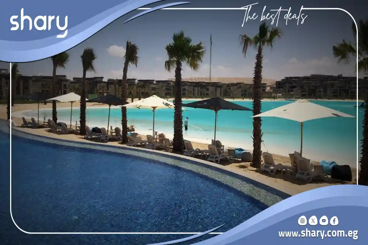 Swan Lake Hassan Allam