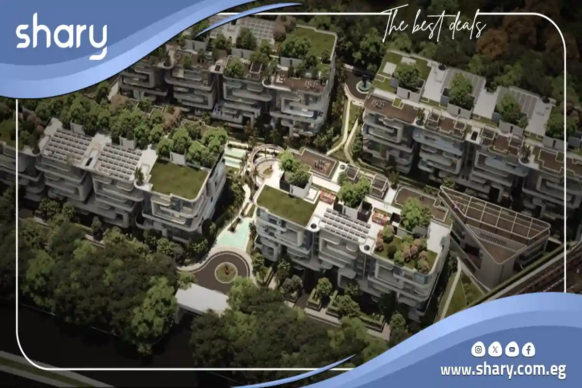 The Curve New Capital Compound Prices and Details 2025 2 The Curve Project