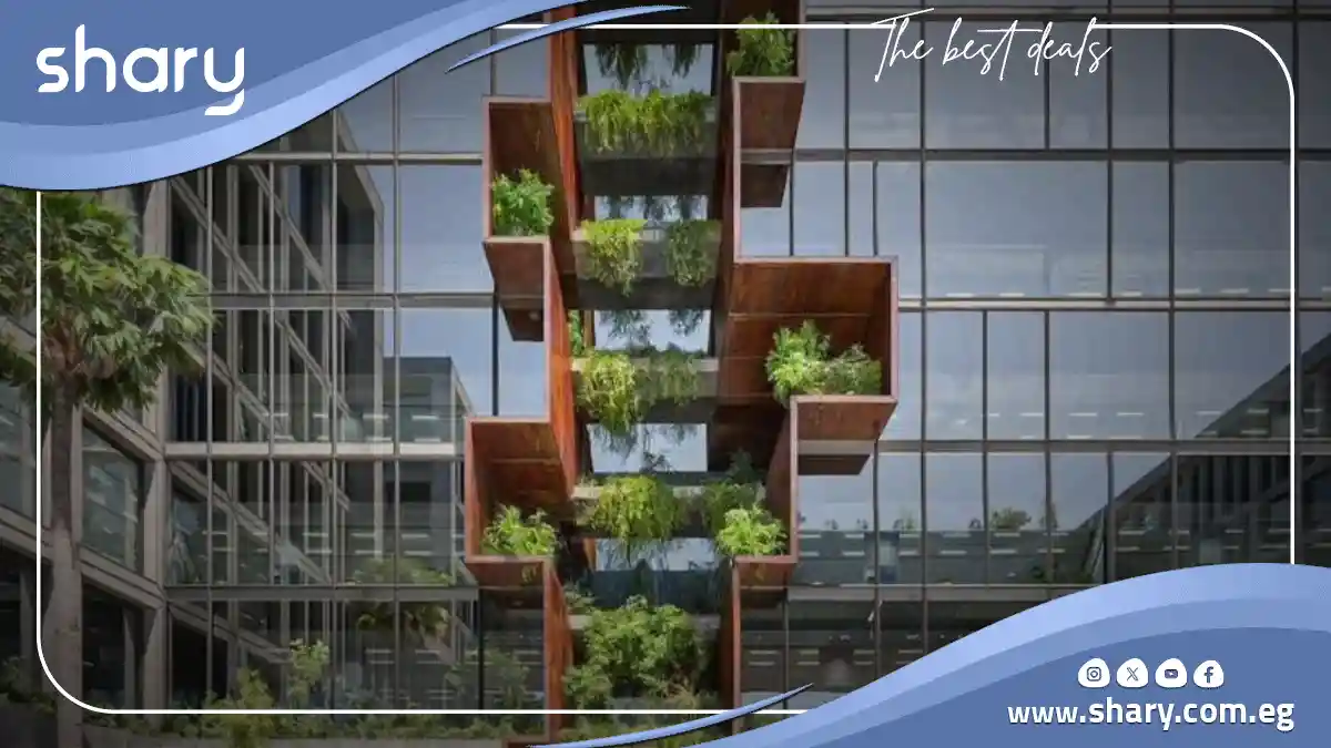 Brackets New Cairo Mall Prices 2025