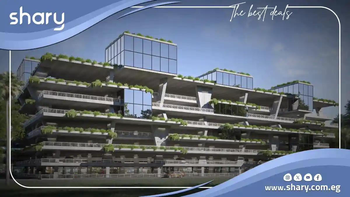 مول براكتس القاهرة الجديدة Mall Brackets New Cairo 2025