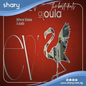 ev el sheikh zayed Compound