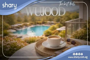 One-Bedroom Apartment for Sale in Wujoud New Cairo