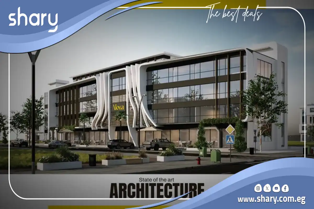 مول الورا هب الشيخ زايد 13 مول الورا هب زايد