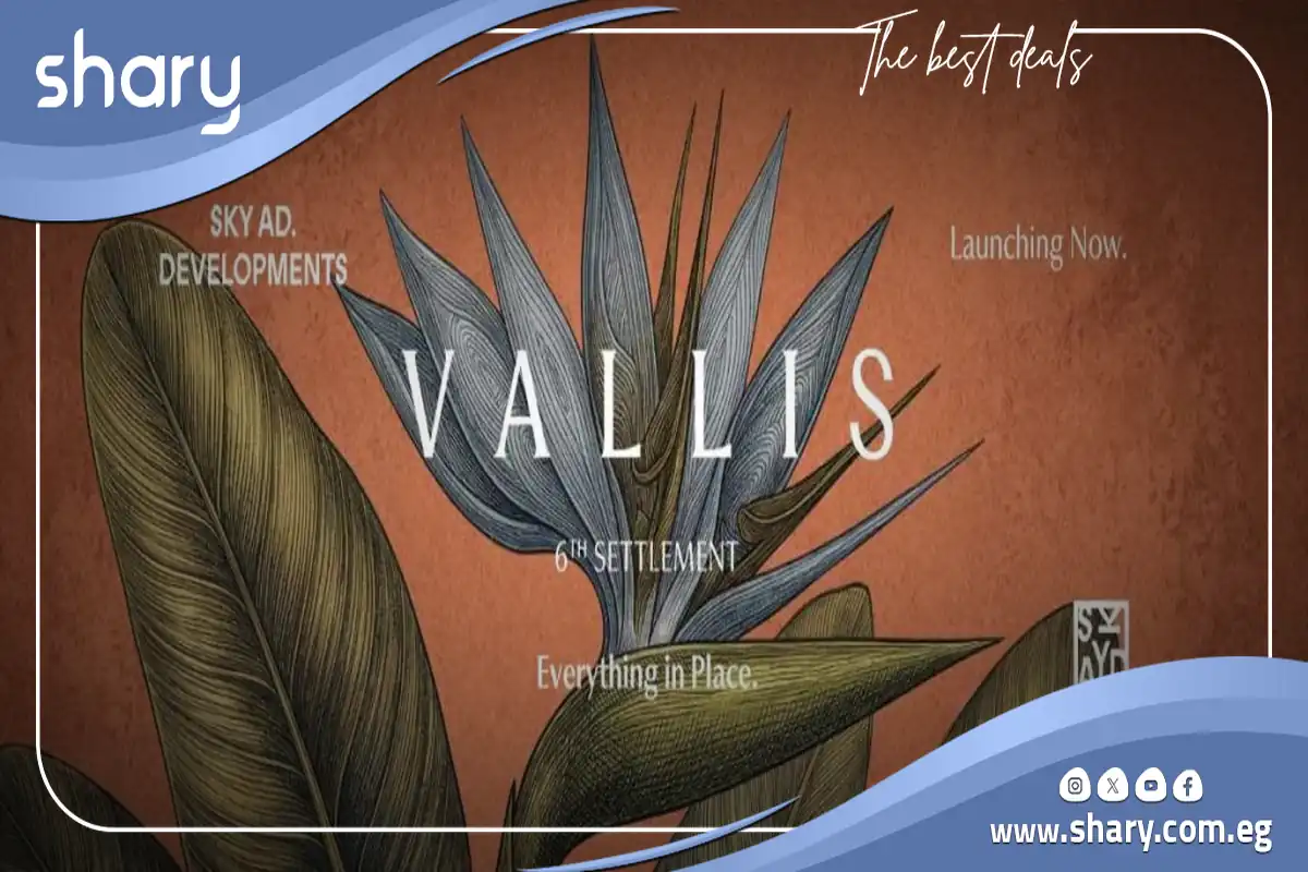 فاليز القاهرة الجديدة