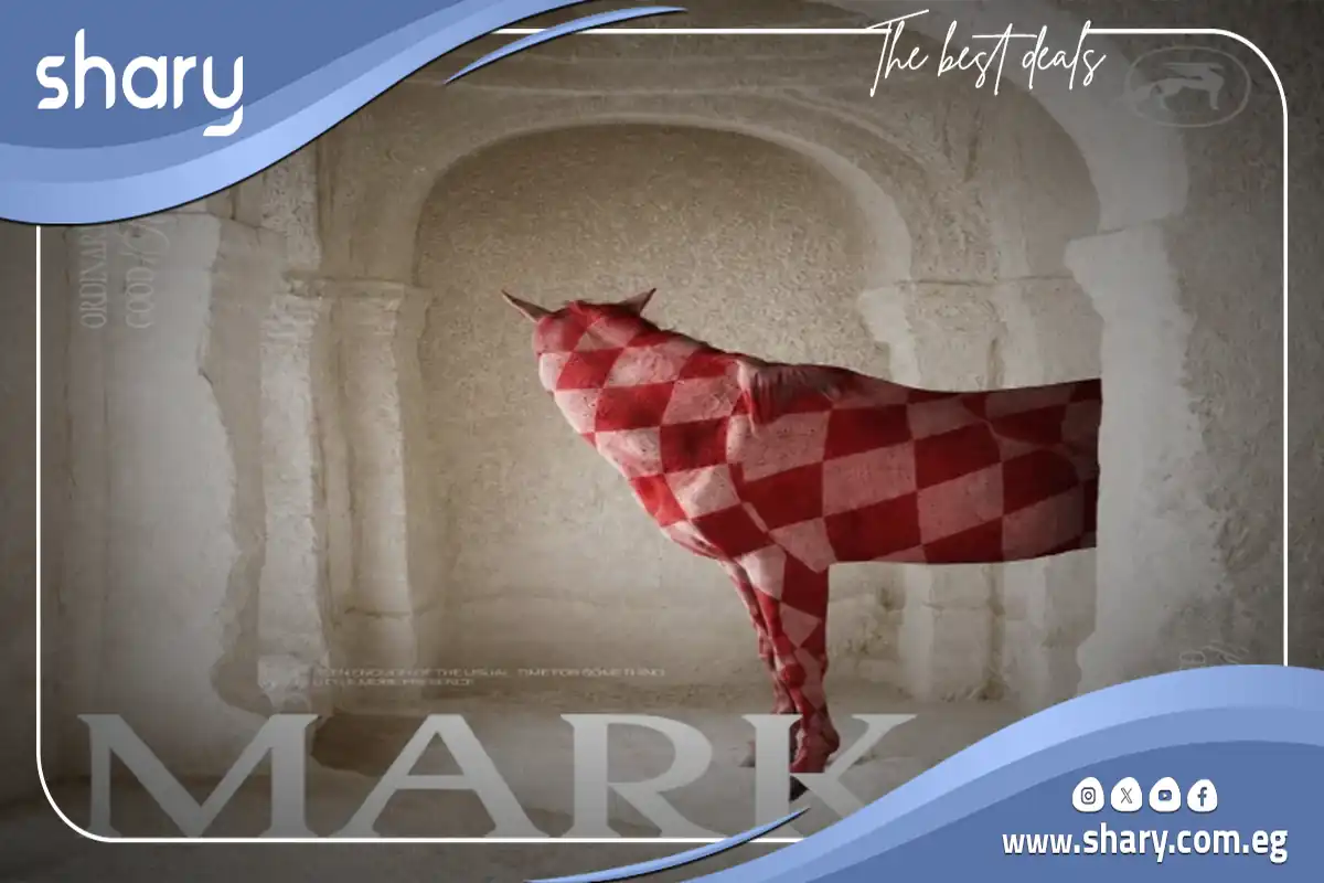 كريست مارك ريزورت العين السخنة Creast Mark Resort Ain Sokhna أسعار 2026 8 Creast Mark Resort Sokhna